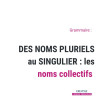 des noms pluriels au singulier : les noms collectifs