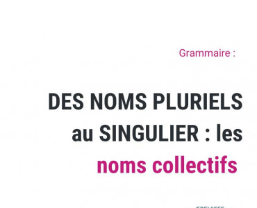 des noms pluriels au singulier : les noms collectifs