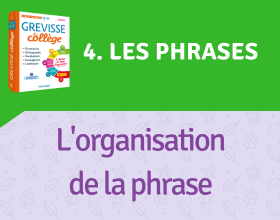 L'organisation de la phrase